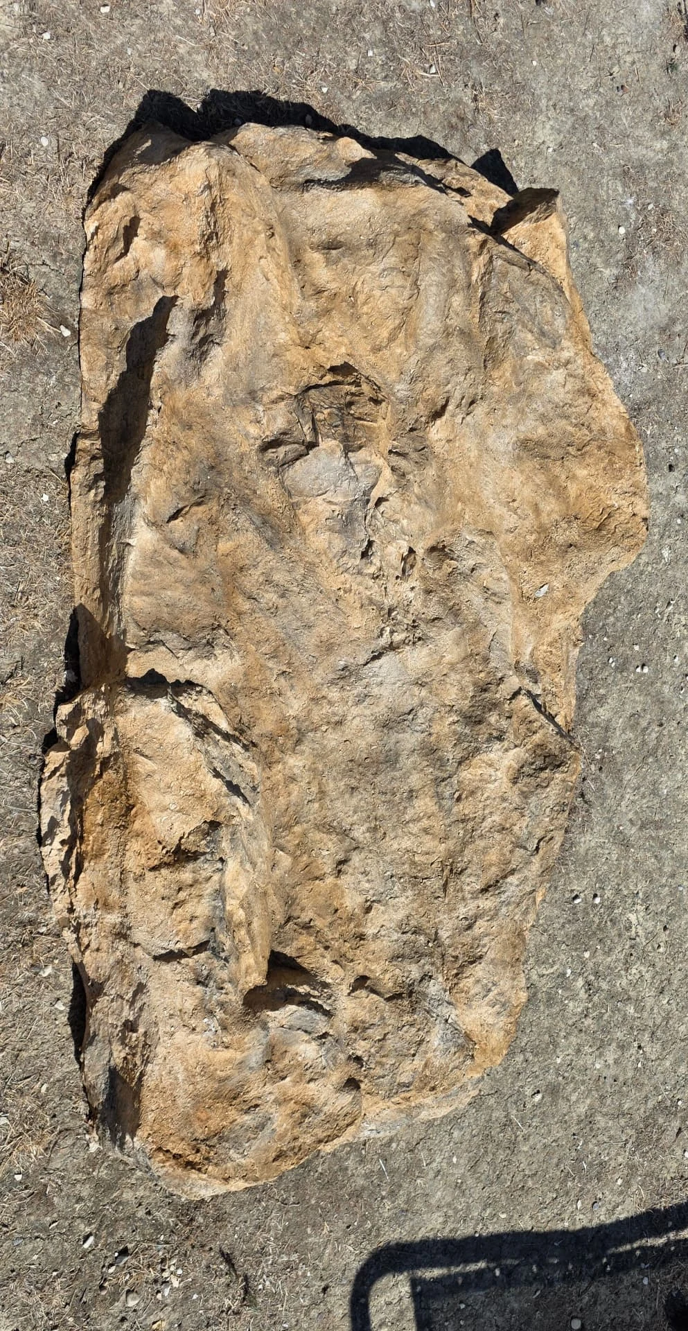 Bloc rocheux polyester réf. 2502 vu du dessus, reliefs et forme générale du modèle
