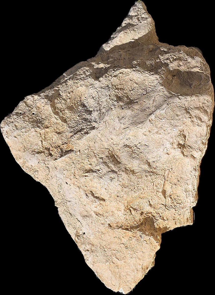 Bloc rocheux polyester réf. 2504 vu de face, petit rocher artificiel 60 × 40 × 15 cm